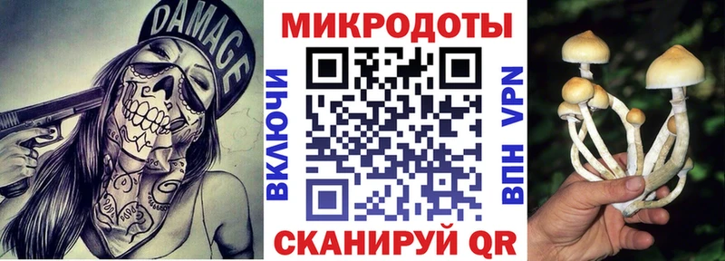 МЕГА ссылка  Коломна  Псилоцибиновые грибы мухоморы 